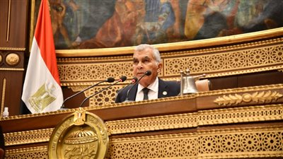 انطلاق الجلسة العامة للشيوخ لمناقشة تطوير المطارات المصرية