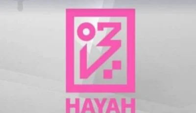 1.2 مليون درهم أرباح حياة للتأمين بنمو 133%