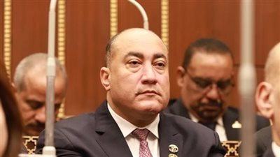 مقترح برلماني بالعودة للصرف اليدوي مؤقتًا لحل أزمة المعاشات قبل عيد الأضحى