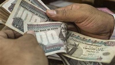 وزارة العمل تعلن توفير 4504 فرص عمل جديدة في 14 محافظة خلال يونيو 2026