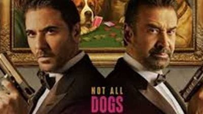 ترتيب إيرادات الأفلام أمس.. فيلم 7 Dogs أولًا والقصص في المركز الأخير