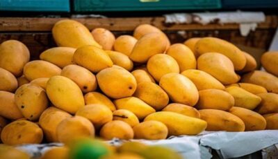 أسعار المانجو اليوم، 6 أصناف “تغري” المصريين والعويسي لـ”الفرجة”
