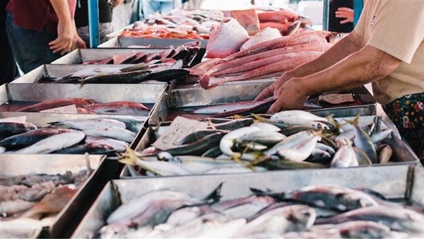 أسعار السمك اليوم، البلطي يواصل ارتفاعه وانخفاض كبير في المكرونة والجمبري