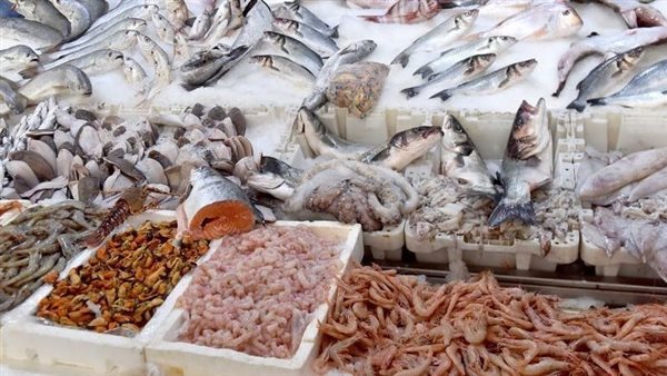 أسعار السمك اليوم، البلطي والجمبري يصالحان المصريين وارتفاع قشر البياض 20 جنيها