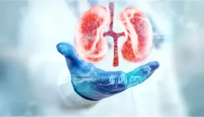 استشاري يقدم روشتة للحفاظ على الكلى ويحذر من 5 أعراض يجب عدم تجاهلها
