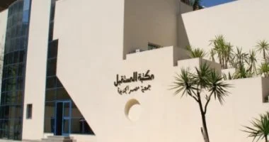 الصناديق مسبقة التشكيل ندوة فى مكتبة مصر الجديدة
