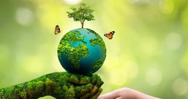 اليوم العالمى لحماية الطبيعة.. كيف ساهمت رايتشل كارسون فى إطلاق الحركة البيئية؟