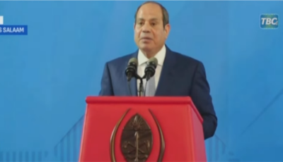 الرئيس السيسي: توافق مصري تنزاني على تعزيز التعاون الاقتصادي وزيادة الاستثمارات والتبادل التجاري
