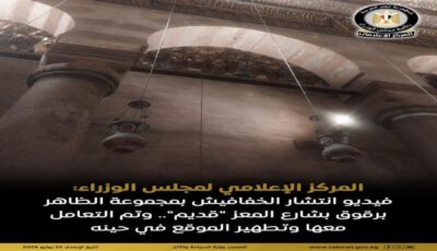 استاذ حياة برية: 1400 نوع خفاش حول العالم تعزز التنوع البيئي وتكافح الآفات الزراعية