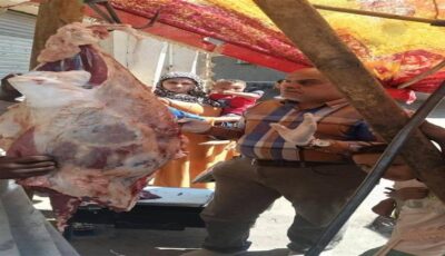ضبط 324 كيلو لحوم وأسماك فاسدة وتحرير 11 محضرًا في حملات بيطرية بالمنيا