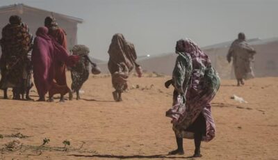 مستشار المجلس النرويجي للاجئين بالسودان: الوضع الإنساني بالغ الخطورة