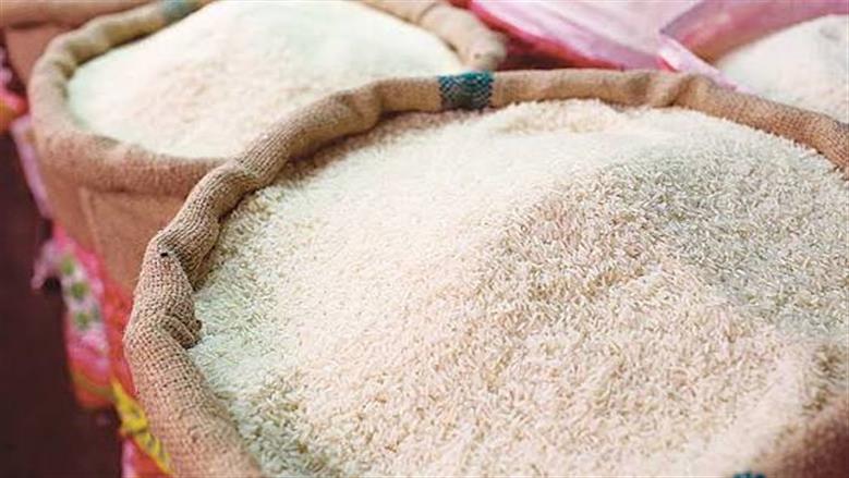 سعر طن الأرز اليوم الجمعة 31-7-2026.. استقرار الشعير والأبيض في الأسواق
