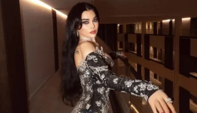 انهيار معجب في حفل هيفاء وهبي.. ورد فعلها يفاجئ الجميع – أخبار السعودية