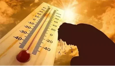 القومي للتغذية يكشف الفئات الأكثر عرضة لمخاطر موجات الحر