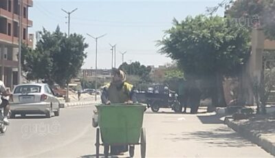 لقمة العيش الحلال، عمال النظافة بالإسماعيلية يعملون تحت درجة حرارة تتجاوز الـ40 (صور)