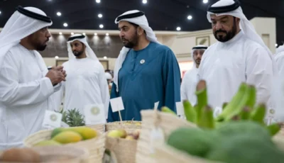 حمدان بن زايد: إرادة الإماراتي جعلت النخلة رمزاً للصمود