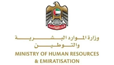 الإمارات.. 190 ألف مواطن يعملون في 32 ألف شركة خاصة