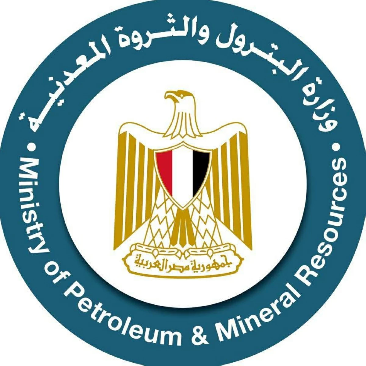 الحكومة المصرية تكشف حقيقة حريق ميناء دمياط