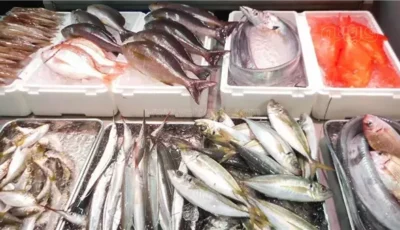 أسعار السمك اليوم، البلطي يسجل 68 جنيها وانخفاض كبير في المكرونة وقشر البياض