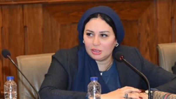 هل المسجلة خطر تستحق لقب صانعة أجيال؟ مشادة بين إعلامية وصاحبة مقترح تغيير مسمى ربة منزل بالرقم القومي