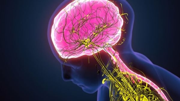 أعراض فرط نشاط الجهاز العصبي وأسباب الإصابة به