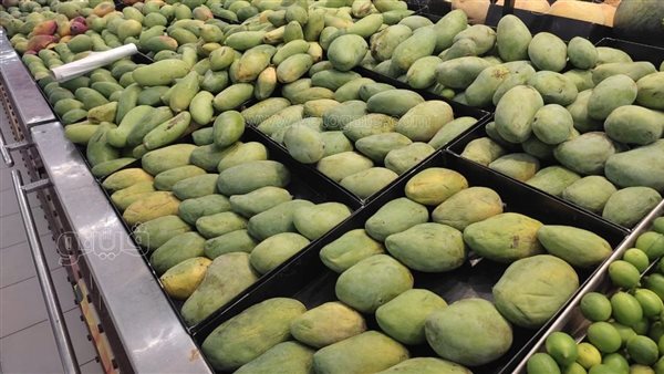 أسعار المانجو اليوم، العويسي تسجل 100 جنيه وعدوى الارتفاع تنتقل إلى البلدي