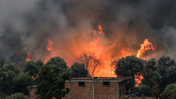 حرائق الغابات في الجزائر، السلطات تواصل جهودها لإخماد النيران في 10 ولايات وجيجل الأكثر تضررًا (صور)