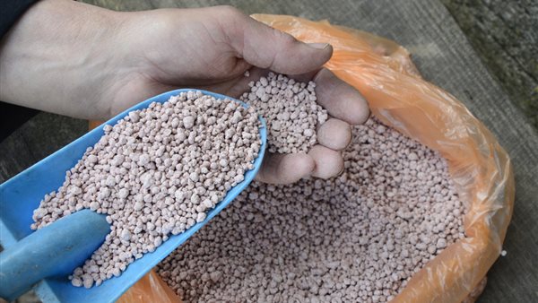 انخفاض اليوريا العادي 4305 جنيهات، أسعار الأسمدة اليوم في الأسواق