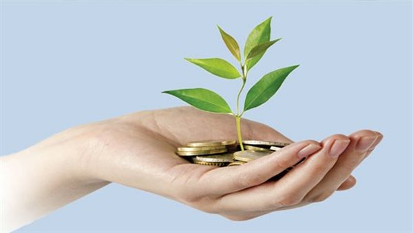 كيف حدد قانون تنظيم العمل الأهلي ضوابط جمع التبرعات للجمعيات الأهلية؟