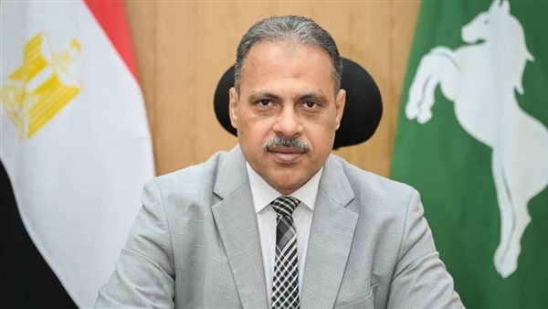حملات مكثفة لحماية المستهلك بالشرقية.. تحرير 46 محضرًا وفحص 946 شكوى خلال يوليو