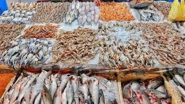 أسعار السمك اليوم ترفع شعار “بلاها بروتين”، ارتفاع المكرونة 50 جنيها والبلطي 4 والجمبري قرب الألف