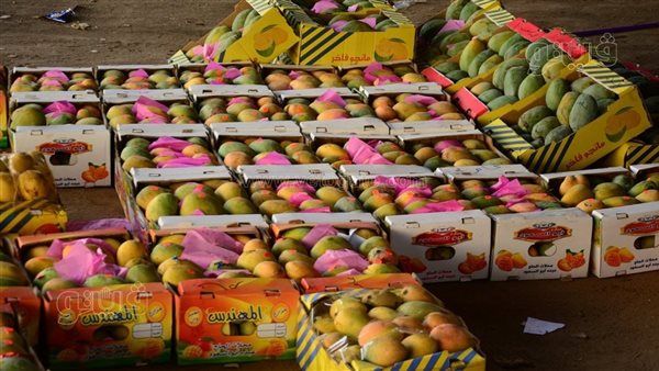 أسعار المانجو اليوم، ارتفاع يصل إلى 10 جنيهات في 6 أنواع منها الفص والصديقة