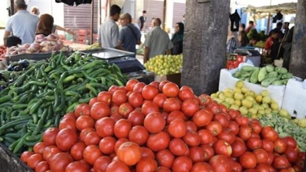 سعر الخضار اليوم، ارتفاع 10 أصناف منها الطماطم والخيار والفلفل وانخفاض البامية