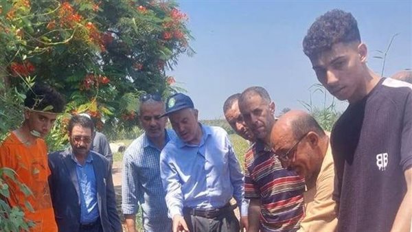 زراعة الشرقية تنفذ يوما حقليا لمحصول الأرز بالإبراهيمية