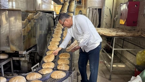 ضبط 145 طن مازوت و120 ألف لتر بنزين و2 طن دقيق خلال حملات تموينية بالدقهلية