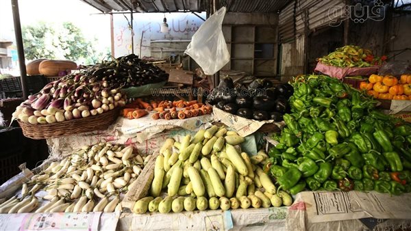 سعر الخضار اليوم السبت، ارتفاع البصل والفلفل والخيار وانخفاض البامية
