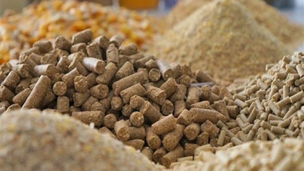 ارتفاع الصويا والجلوتوفيد، أسعار الأعلاف والحبوب اليوم في الأسواق