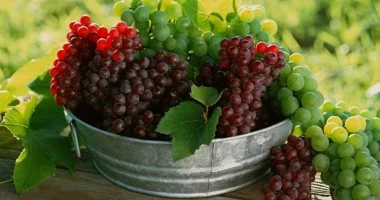 التوت الأزرق أم العنب؟.. أيهما أفضل لصحة القلب والمناعة وسكر الدم