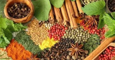استعد للعام الدراسى.. أعشاب تساعد على تقوية الذاكرة والتركيز