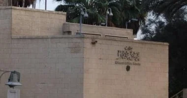 فعاليات اليوم.. معرض الإرث بمتحف محمود مختار و”شاطئ الفن” يصل إلى جمهور الغردقة