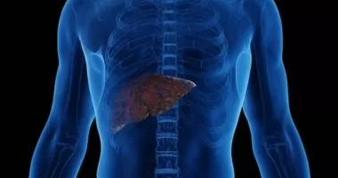 هل تعاني من الكبد الدهنى؟.. 30 دقيقة من المشى قد تساعد في تقليل الدهون