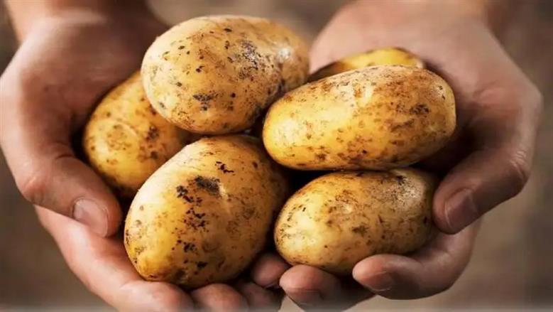 سر البطاطس المقرمشة زي المطاعم في خطوة واحدة