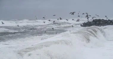 تفسير حلم البحر.. ماذا تعنى السباحة والنجاة والخوف من الأمواج؟