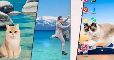 الصينيون يواجهون ضغط رؤسائهم فى العمل بتحويل صورهم إلى حيوانات أليفة