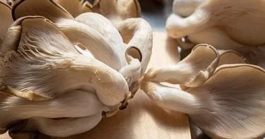 سبيرميدين.. مكمل يثير ضجة فى مكافحة الشيخوخة وفقدان الوزن.. كيف تحصل عليه من طعامك