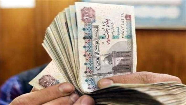 كل ما تود معرفته عن شكل «سيستم» المعاشات الجديد.. 95 خدمة تأمينية في انتظارك