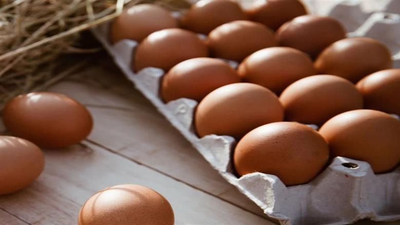 سعر كرتونة البيض في بورصة الدواجن وللمستهلك اليوم السبت 15-8-2026