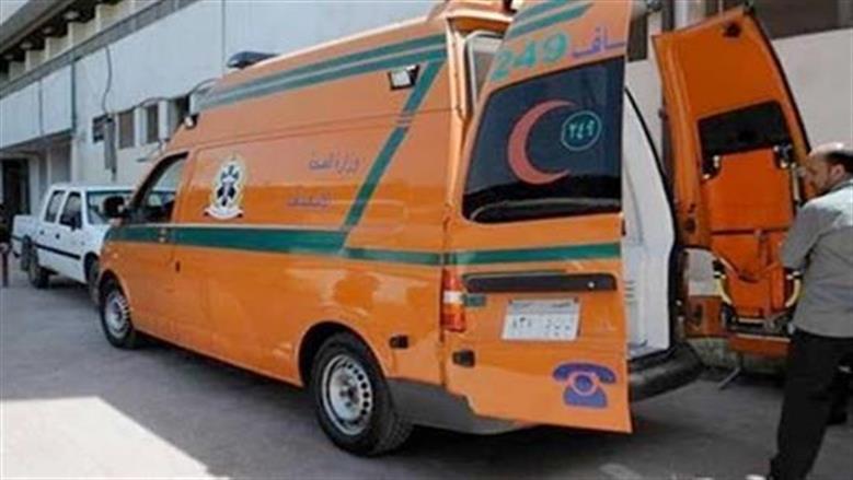 حصل على 35 جرعة مصل.. مستشفى كفر الزيات بالغربية ينقذ حياة مريض من لدغة ثعبان