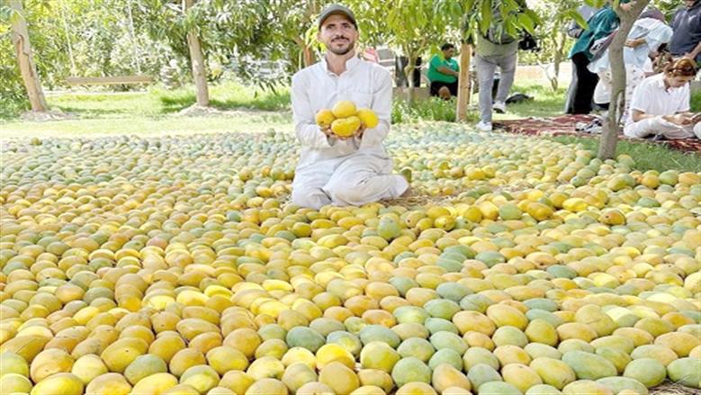 لتفادي تأثيرات المناخ.. زراعة أصناف «أجنبية وهجينة» تتحمل الجو القاسي