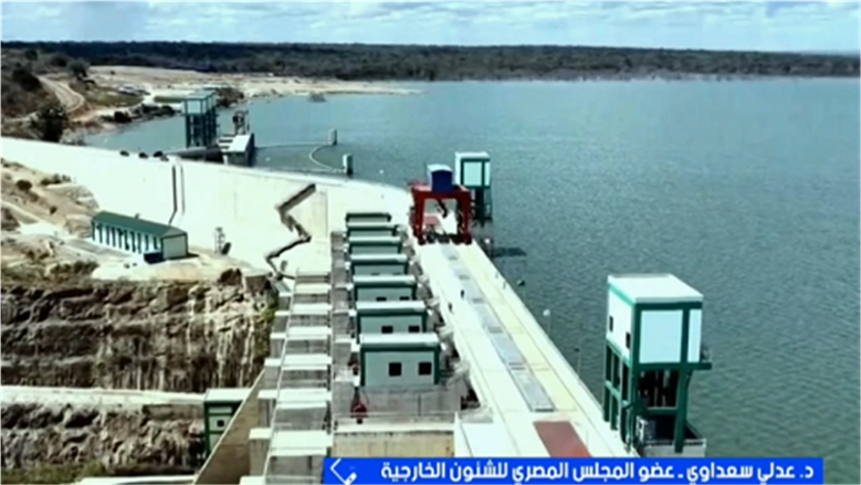 عضو بـ«المصري للشؤون الخارجية»: سد جوليوس نيريري يؤكد قدرة إفريقيا على استغلال مواردها